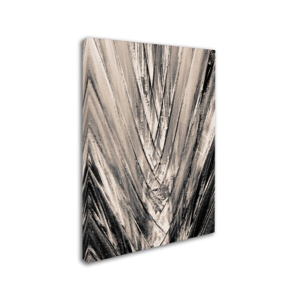 Patty Tuggle 'Sepia Palm' Canvas Art,24x32